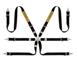 Sabelt Steel Saloon Rally Harness